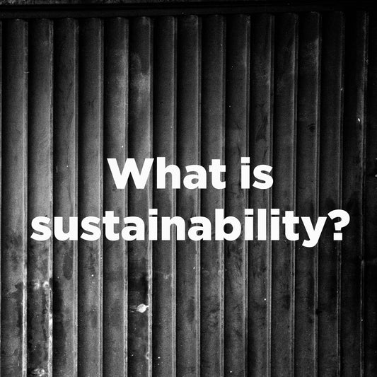 What is sustainability?